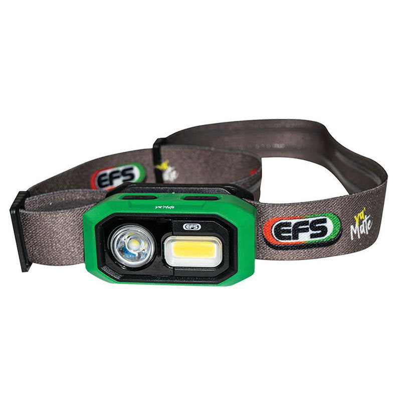 EFS Headlamp \u0026 Sensor