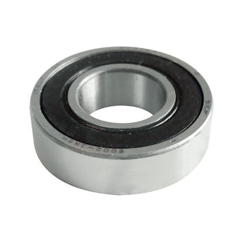 6000-2RS Bearing